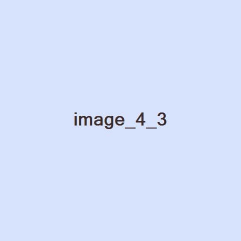 이벤트 장인